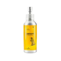 Puralpina Marmotte Massageöl