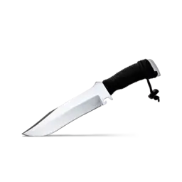 Wildsteer TX Bowie