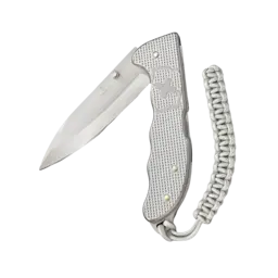 Victorinox Evoke Alox