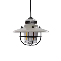 Barebones Edison Pendant Light