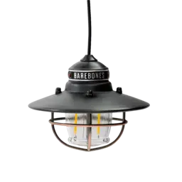 Barebones Edison Pendant Light