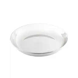 GSI Glacier Stainless Deep Plate